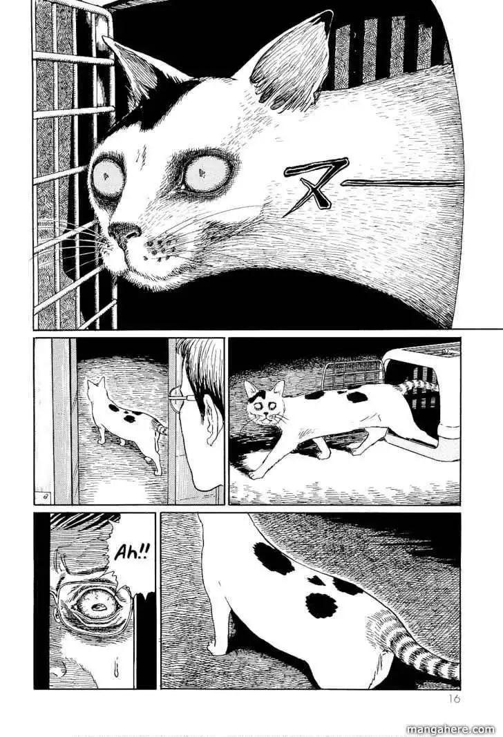 Ito Junji's Cat Diary Chapter 2 4